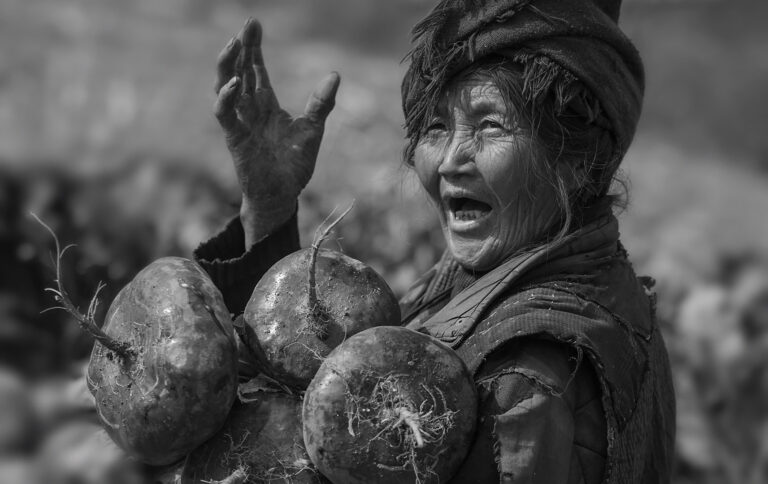 Lei Zunhui - Good-harvest